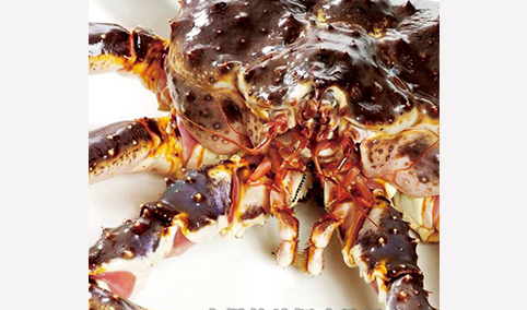 帝王蟹（鮮活）-海之興