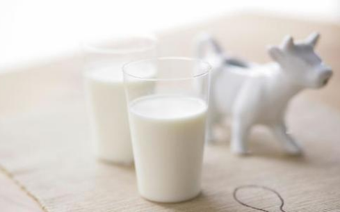 空腹能喝牛奶嗎？這些禁忌要記牢！