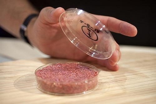 “人造肉”熱潮，未來將替代60%肉制品？